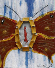 196.jpg